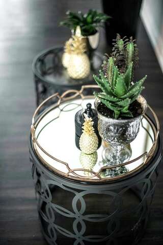 Апартаменты Luxury Loft Каунас Апартаменты с 1 спальней-20